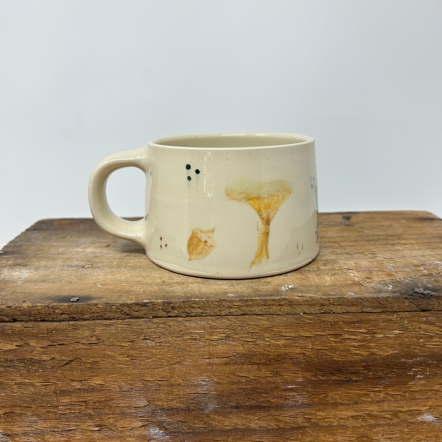 Mushroom Mug 1