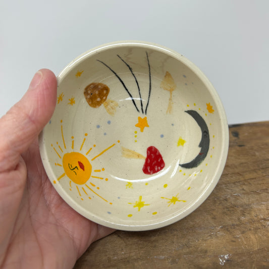 Celestial Tiny Dish - XS 3